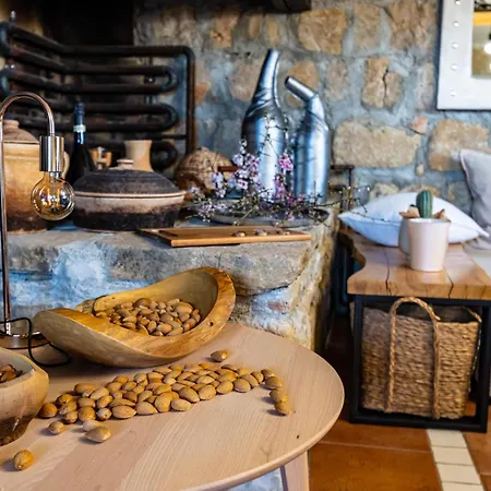 Ferienhaus Pet Friendly In *
